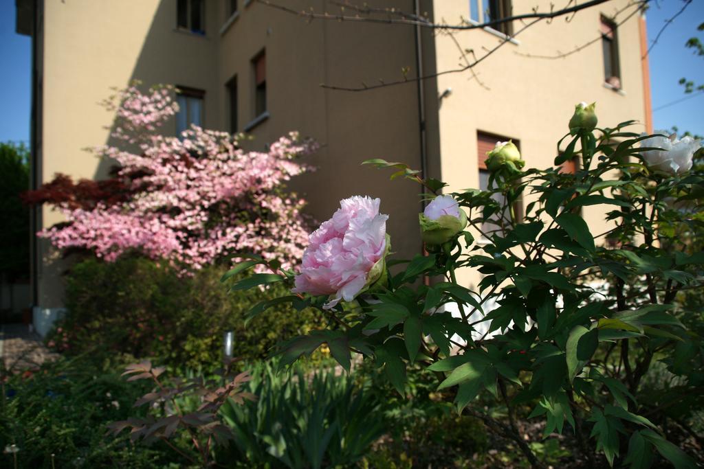 Boutique Apartment Casa Angela Удіне Номер фото